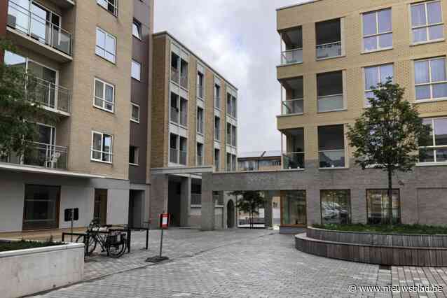 Politie voert toezicht op hangjongeren op: “Sommige bewoners durven hun deur niet meer opendoen”