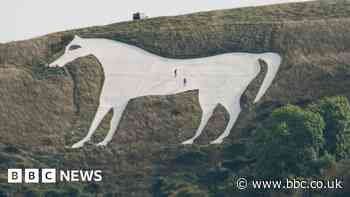 Restoration of Westbury White Horse comes to an end