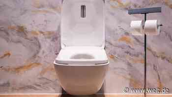 Dusche und Föhn für den Intimbereich – So beerdigen neue Toiletten das Klopapier