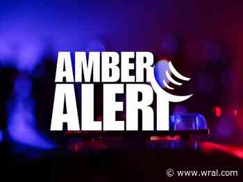 Police: 11-month-old abducted in Rockingham County found safe, 2 women arrested