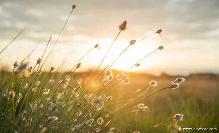 Can Ethereum Tally Spring Highs After Correction? Top Analyst Shares His Views