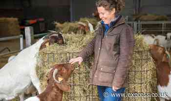 Eco mob bombards popular family-run farm shop with abuse in bid to tarnish rating