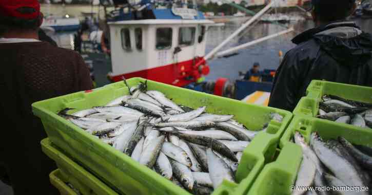 Verdorbener Fisch in Bar: eine Tote und zehn Vergiftete