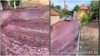 Im Video: 2,2 Millionen Liter Weinflut verwandelt Dorf in Portugal in ein „rotes Paradies“