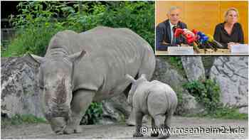 Tod im Nashornhaus: Hätte die Tragödie verhindert werden können - und was passiert mit Yeti?