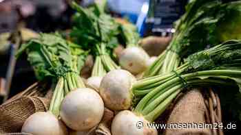 Gehobelter Rettich: Zu lange an der Luft macht ihn muffig