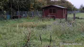Wo Städter ungewöhnliche Gartenideen verwirklichen können