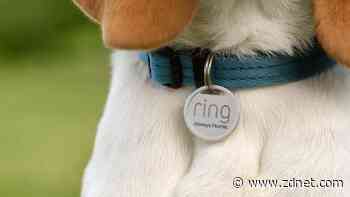 Ring's new Pet Tag can help you find your furry friend faster, and it's only $10