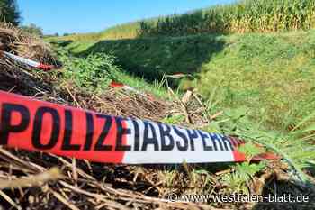 Fahndung nach Tötung und Messerangriff im Landkreis Diepholz