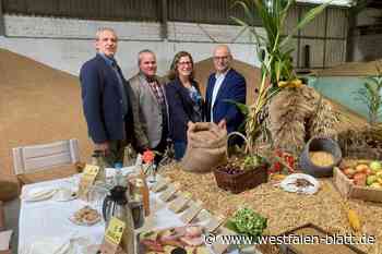 Bauern in Westfalen-Lippe: 20 Prozent Einbußen, zum Teil mehr