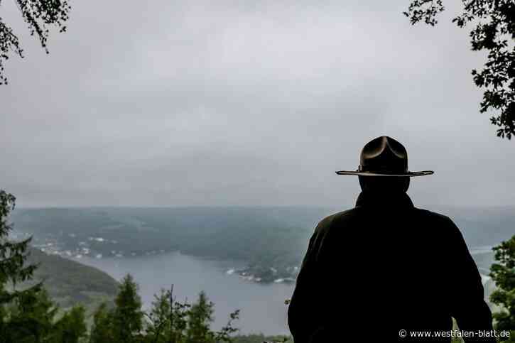 Nationalpark Egge: Was passiert, wenn der Kreis Höxter "Nein" sagt?
