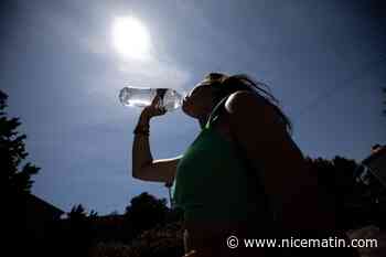 Presque 400 décès de plus que la normale recensés pendant la canicule d'août en France