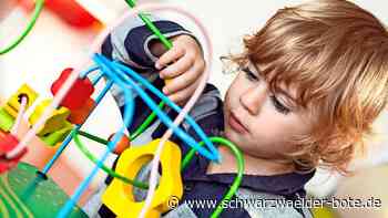 Umfrage im Kreis Calw: Schon 650 Bürger haben abgestimmt