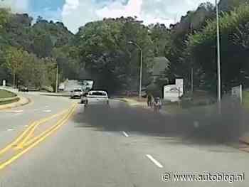 Video: fietsen in de frisse buitenlucht