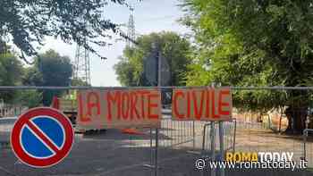 Taglio alberi al Trullo: residente sale su un olmo per bloccare l'abbattimento