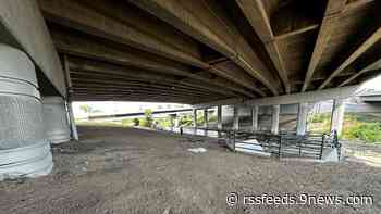 IDs of 2 people shot and killed near Denver bike path released