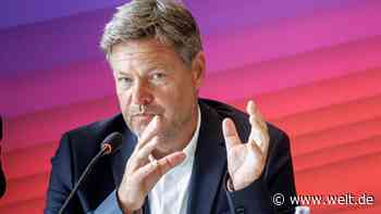 Dieses Habeck-Veto zeigt die neue Härte der Regierung gegen China