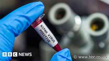 Kerala: India state on alert after Nipah virus deaths