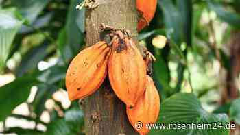 17 Lebensmittel, die Flavonoide enthalten und so das Demenz-Risiko senken