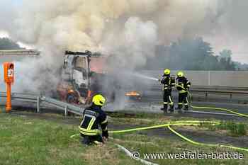Minister ehrt Elha Maschinenbau Liemeke aus Hövelhof für Engagement
