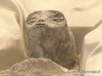 "Non sembrano umani": il video sulle presunte mummie ufo