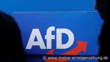 Umfrage: AfD in Brandenburg vor allen anderen Parteien