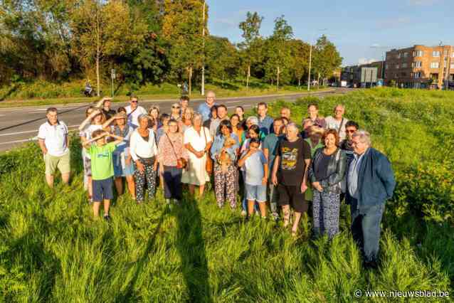 Protest tegen plannen heraanleg kruispunt R11 met Prins Boudewijnlaan: “Maak het veilig, maar zonder kaalslag”