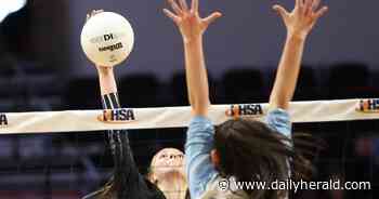 Girls volleyball notes: Glenbard West, St. Francis look good on trips south