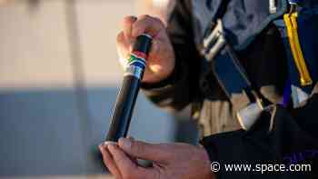 'I am horrified': Archaeologists are fuming over ancient human relative remains sent to edge of space