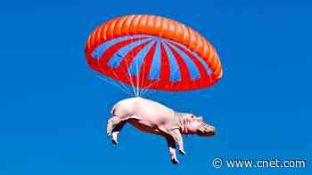 Photoshop's Firefly Generative AI Is Here. This Is How Much It'll Cost You     - CNET