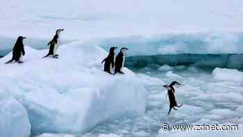 How to save your Linux desktop settings in case something goes wrong