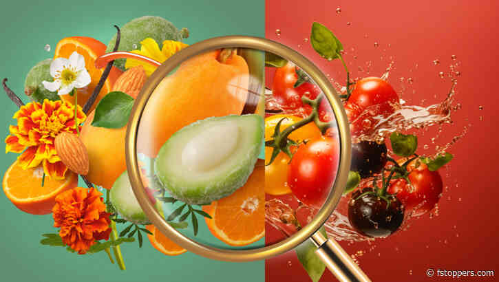 Photography, CGI, and AI: Can You Tell the Difference? An Interview With Steve Hansen