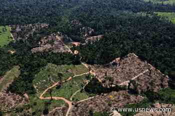 Brazil Sees Amazon Rainforest International Security Hub Launch This Year