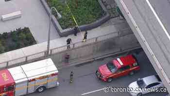 One person dead after Toronto encampment fire