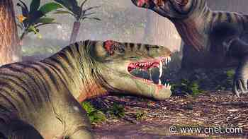 'Gnarly-Looking Beast' Revealed in 265-Million-Year-Old Fossil     - CNET