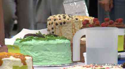 New Mexico State Fairs hosts 2023 cake show and competition