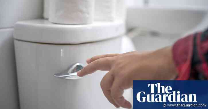 The perfect flush: eight essential toilet tips – from closed lids to cleaning