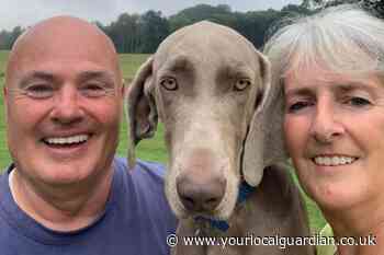 Ring camera catches greedy puppy stealing probiotics