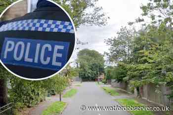 Bricket Wood: Cat injured after being shot with air pellets