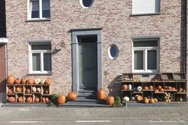 Twee weekends opendeurdag in Pompoenhoeve