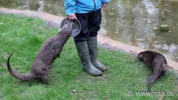 Tierpfleger im Rostocker Zoo sollen mehr Geld bekommen