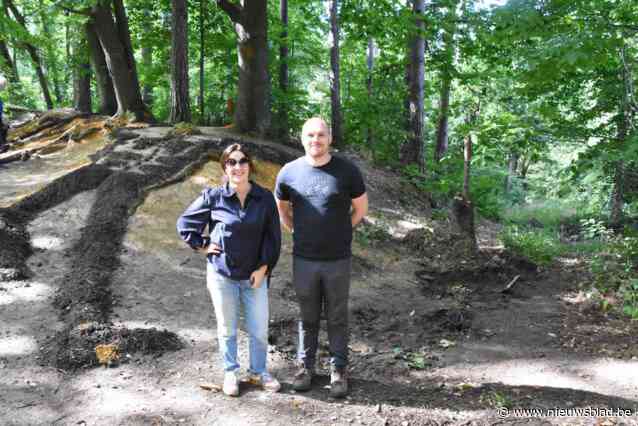Internationale Nature Art met een mysterieus kantje strijkt neer in de Zavelput: “Kunstenaars maakten werk met enkel materiaal dat ze in het bos zelf vonden”