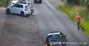 Shocking video shows moment teenager racing his car ploughs into mum killing her dog