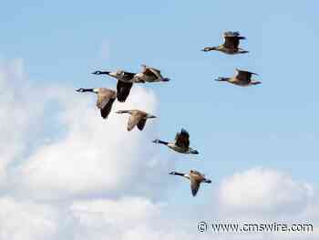 The Power of Customer Journey Analytics & Cross-Functional Teams