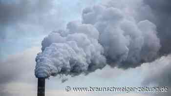 Grünen-Spitze will Kurswechsel bei CO2-Speicherung