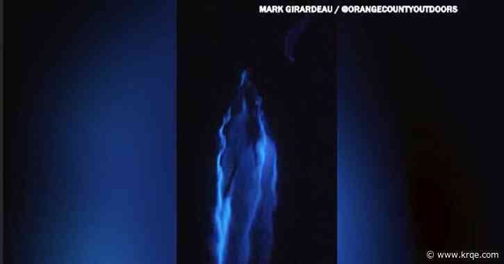 WATCH: Dolphins swim through bioluminescent waters off California