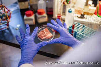 Solving the mainstream adoption of alternative meats on a molecular level