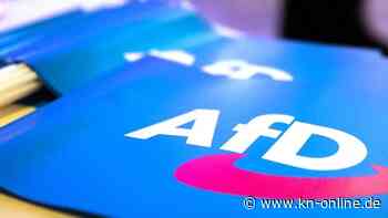 Stiftungsgesetz: AfD-nahe Stiftung darf nicht per Gesetz von staatlicher Förderung ausgeschlossen werden