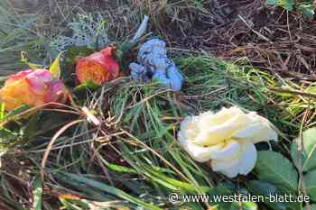 Tod einer 17-Jährigen und Messer-Attacke im Landkreis Diepholz geben Rätsel auf