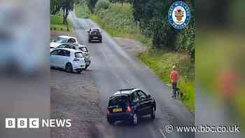 Driver who hit a woman and killed a dog avoids jail